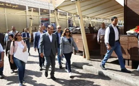 وزيرة التنمية المحلية تراجع تقدم تطوير المرحلة الثانية لسوق العتبة في القاهرة