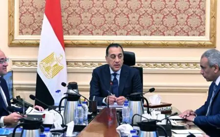 الحكومة تطلق خطة شاملة للتحول إلى السيارات الكهربائية في خطوة نحو مستقبل أنظف