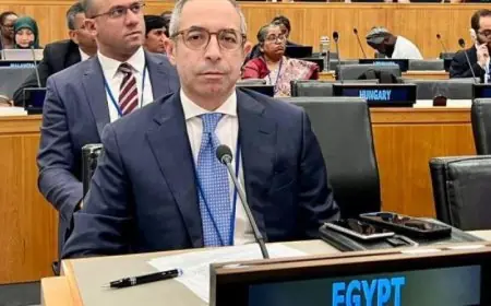 مصر تسلط الضوء على إنجازاتها في المنتدى الدولي لمراجعة أهداف الميثاق العالمي للهجرة