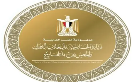مصر تعبر عن إدانتها للهجوم الإرهابي الذي استهدف باكستان