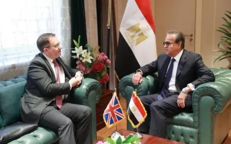 الدكتور خالد عبدالغفار يناقش تعزيز الشراكة الصحية مع السفير البريطاني في مصر