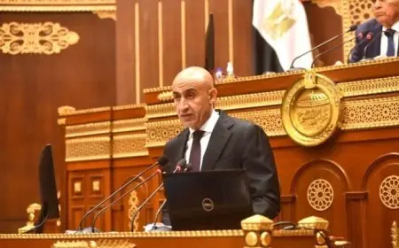 وزير التعليم يعلن عن إدخال مناهج العلوم اليابانية في المدارس الحكومية الابتدائية العام المقبل