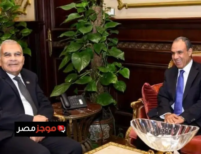 وزير الخارجية يجتمع برئيس مجلس الشيوخ في لقاء هام لتعزيز التعاون