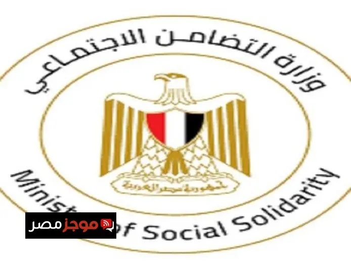 مايا مرسي تؤكد وصول أول أفواج حجاج الجمعيات الأهلية إلى المدينة المنورة بنجاح