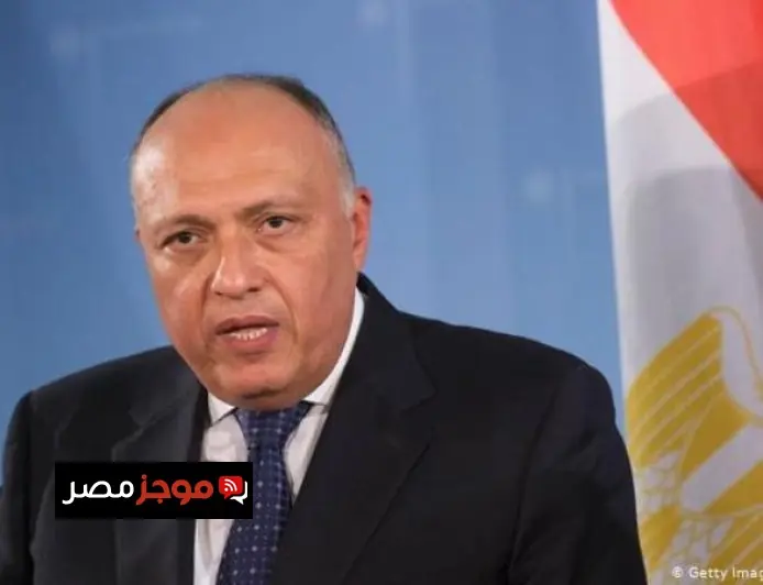 رئيس لجنة الخارجية بالبرلمان يؤكد أن زيارة ماكرون تعزز قوة العلاقات المصرية الفرنسية