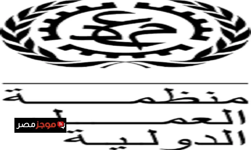ارتفاع نسبة البطالة في قطاع غزة إلى 85% وفقاً لممثل منظمة العمل بفلسطين
