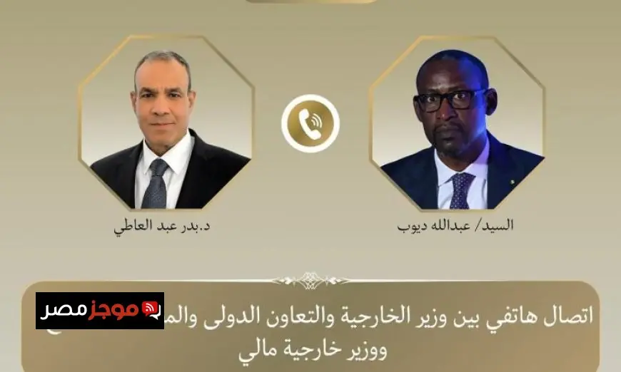 وزير الخارجية المصري يعبر عن دعم مصر لمالي ويجدد رفضه للهجمات الإرهابية