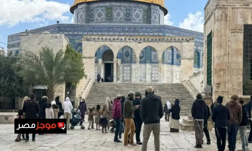 القدس تحذر من تصاعد دعوات الاحتلال لاقتحام المسجد الأقصى في منتصف مايو