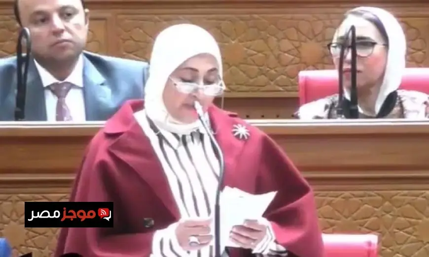 رئيس لجنة الإعلام في مجلس النواب تؤكد أهمية صرف مكافآت نهاية الخدمة للعاملين في ماسبيرو