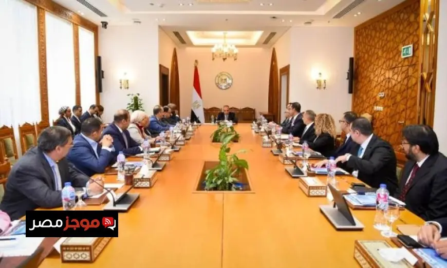 وزير الخارجية يبحث مع ممثلي الشركات المصرية في أفريقيا فرص تعزيز النشاط الاقتصادي