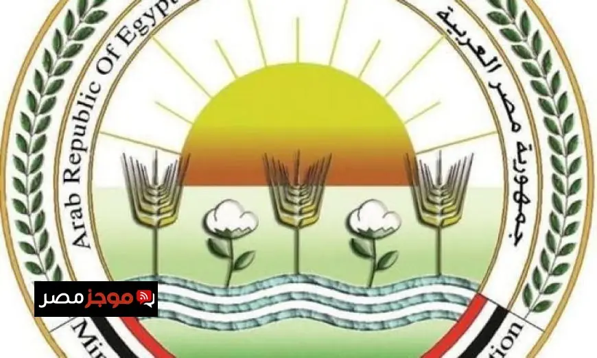 الزراعة تساهم في تعزيز التحول نحو الزراعة النظيفة من خلال منتجات تحسن كفاءة التربة وزيادة الإنتاج