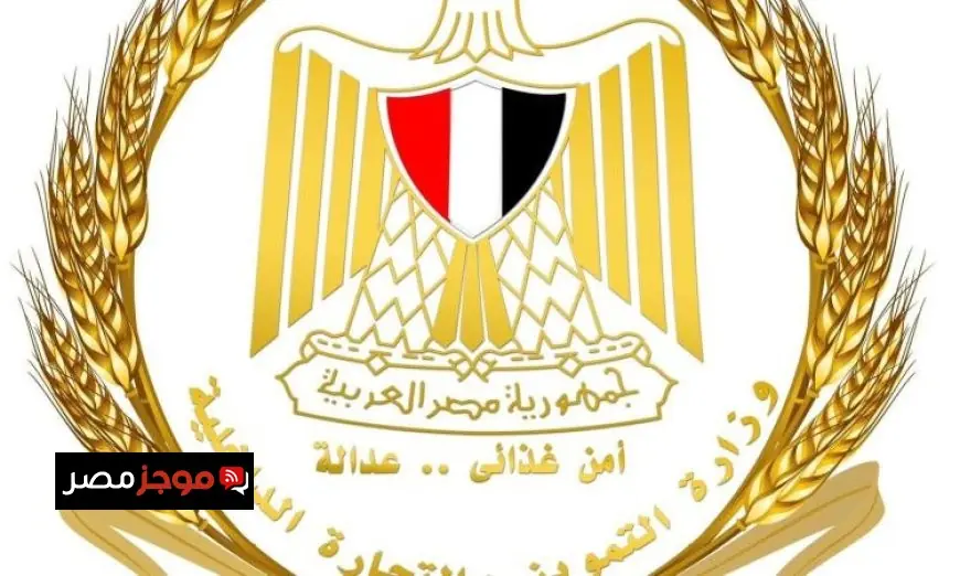 وزارة التموين تتخذ خطوات عاجلة لحماية صحة المواطنين وسلامة الغذاء من المخالفات