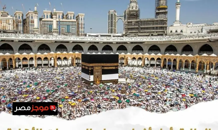 مايا مرسي تعلن بدء أول أفواج حجاج الجمعيات الأهلية إلى المدينة المنورة غدا
