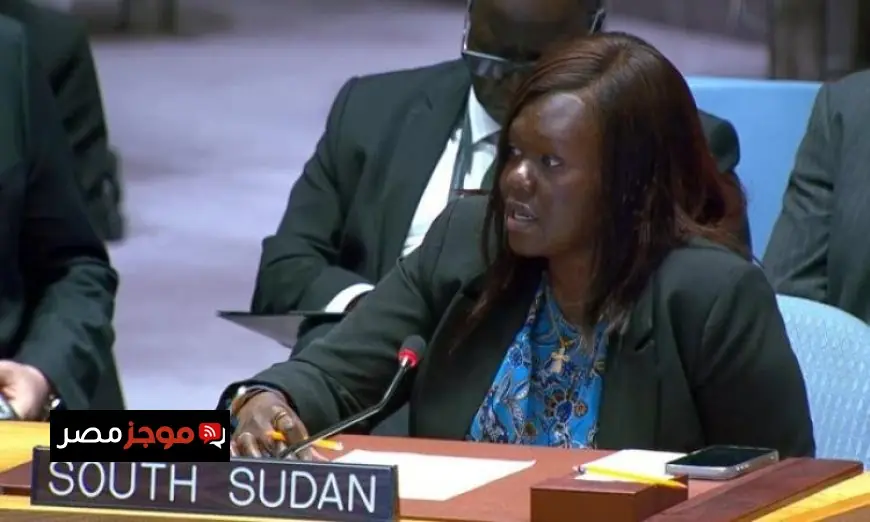 جنوب السودان تعزز التزامها باتفاق 2011 وقرارات مجلس الأمن حول منطقة أبيي