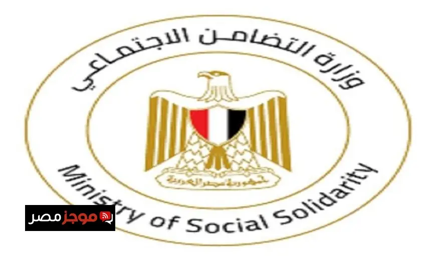 مايا مرسي تؤكد وصول أول أفواج حجاج الجمعيات الأهلية إلى المدينة المنورة بنجاح