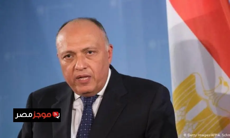 رئيس لجنة الخارجية بالبرلمان يؤكد أن زيارة ماكرون تعزز قوة العلاقات المصرية الفرنسية