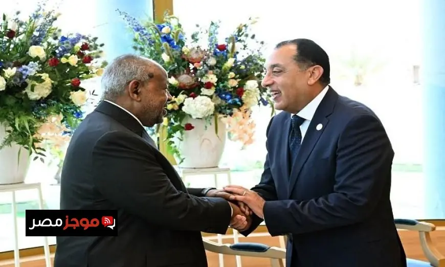 رئيس الوزراء يعود إلى القاهرة بعد حضوره حفل تنصيب رئيس جيبوتي