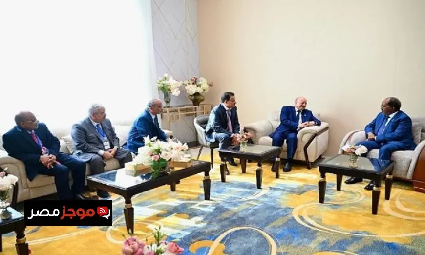 رئيس القيادة اليمني يناقش التطورات الإقليمية مع رئيسي جيبوتي والصومال