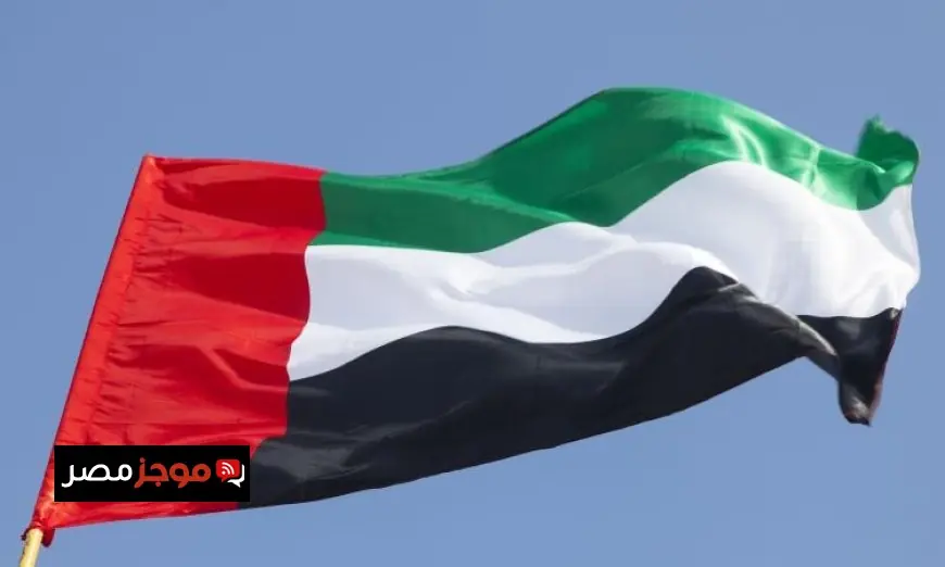 الإمارات تندد بالهجوم على ناقلة شحن كورية في مضيق هرمز