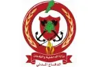 الدفاع المدني اللبناني ينقذ 8 جرحى ويستخرج 6 شهداء في النبطية