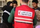 نجاح مشروع قطري أردني لإنقاذ مليوني نازح في غزة بتكاليف تتجاوز 44 مليون دولار