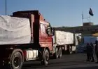 تدخل 64 شاحنة مساعدات إماراتية إلى غزة تحمل 786 طناً من المواد الغذائية الأساسية