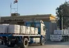 قافلة زاد العزة 218 تصل إلى غزة لدعم الفلسطينيين عبر معبر رفح