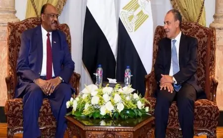 وزير الخارجية المصري يعزز دعم بلاده لوحدة السودان وسيادته وسلامة أراضيه
