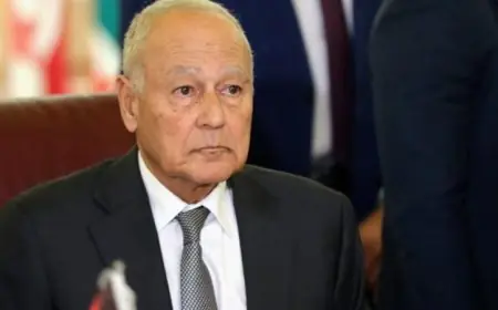 أبو الغيط يعبر عن ترحيبه بالتوقيع على خارطة الطريق لإنهاء المرحلة الانتقالية في ليبيا