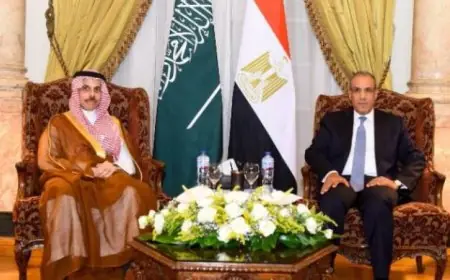 عبد العاطي ونظيره السعودي يركزان على تعزيز العلاقات الثنائية ومناقشة التطورات الإقليمية