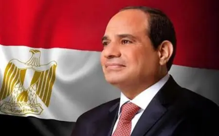 الرئيس السيسي يرحب بوزراء خارجية السعودية وتركيا وباكستان لتعزيز التعاون الإقليمي
