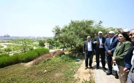 مدبولي يؤكد أن حدائق تلال الفسطاط تعبّر عن رؤية الدولة لإحياء التاريخ وتحسين جودة الحياة