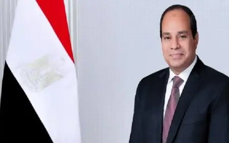 الرئيس السيسي يعلن دعم مصر لترشيح نبيل فهمي كأمين عام جديد لجامعة الدول العربية