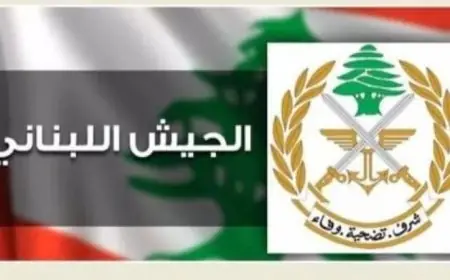 الجيش اللبناني يواصل جهود تفكيك القنابل غير المنفجرة ويناشد الأهالي التروي قبل العودة