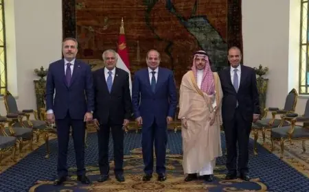الرئيس السيسي يؤكد على أهمية ضمان أمن الخليج في تغطية صحف ووكالات أنباء عربية وعالمية