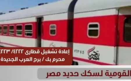 إعادة تشغيل قطاري 4222 و4223 من محرم بك إلى برج العرب الجديدة بقرار من السكة الحديد