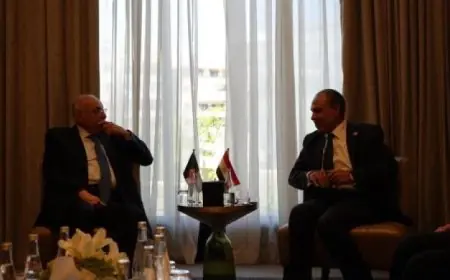 وزير الخارجية المصري ونظيره الجزائري يؤكدان على تعزيز العلاقات الثنائية بين مصر والجزائر