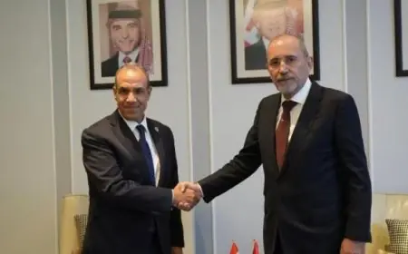 عبد العاطي والصفدي يشددان على ضرورة إكمال المرحلة الأولى من خطة ترامب لحل أزمة غزة