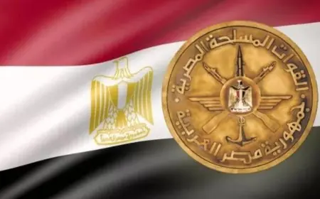 القوات المسلحة تطلق حملة شاملة للقضاء على البؤر الإجرامية في المنطقة الجنوبية العسكرية بالفيديو