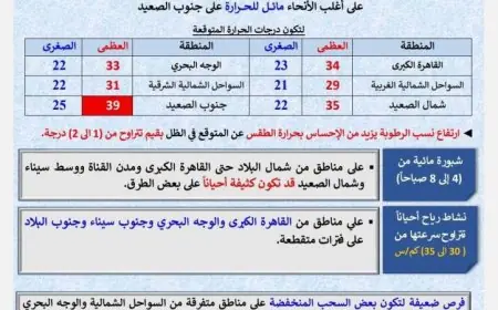الأرصاد تحذر من طقس حار ورطب مع ظهور شبورة مائية على الطرق اليوم