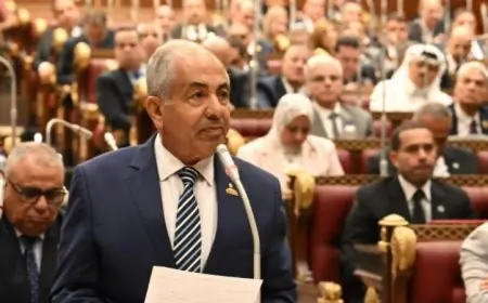 وكيل الشيوخ يؤكد أن ثورة 30 يونيو أنقذت مصر وستظل خالدة في قلوب المصريين