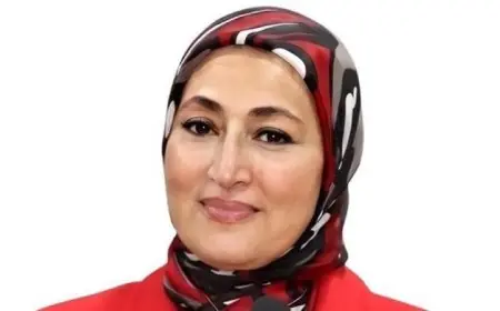 إعلام النواب تُقدم طلب إحاطة عاجل حول ارتفاع مرتبات أعضاء هيئة التدريس في الجامعات