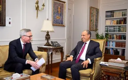وزير الخارجية المصري يسلط الضوء على أهمية التعاون مع النرويج في مجالات الطاقة المتجددة