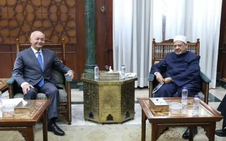 شيخ الأزهر والمفوض السامي يبحثان سبل تعزيز التعاون لدعم اللاجئين والمعوزين