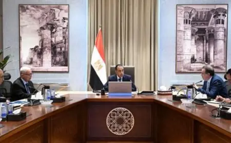 رئيس الوزراء يراقب تقدم مشروع إعادة هيكلة الوحدات الإدارية الحكومية