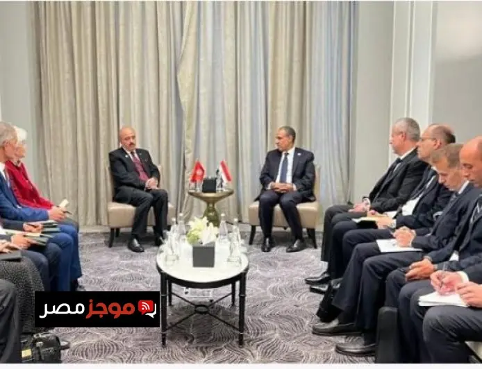 وزير الخارجية المصري يشدد على تميز العلاقات الثنائية مع تونس