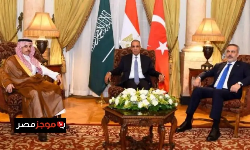 وزير الخارجية يناقش مع نظيريه السعودي والتركي أحدث التطورات الإقليمية