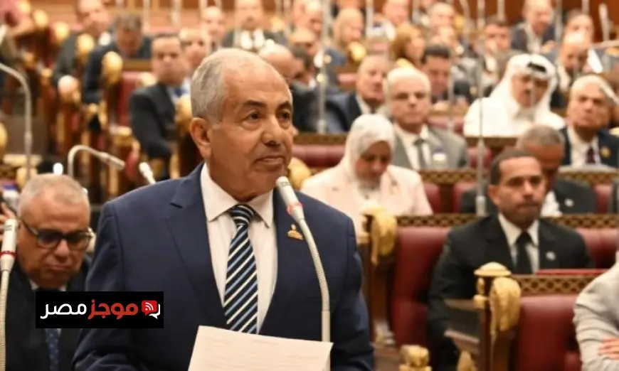 وكيل الشيوخ يؤكد أن ثورة 30 يونيو أنقذت مصر وستظل خالدة في قلوب المصريين