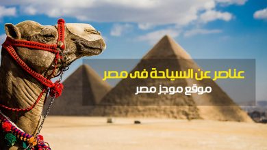 Photo of عناصر عن السياحه لبحث الابتدائية 2020