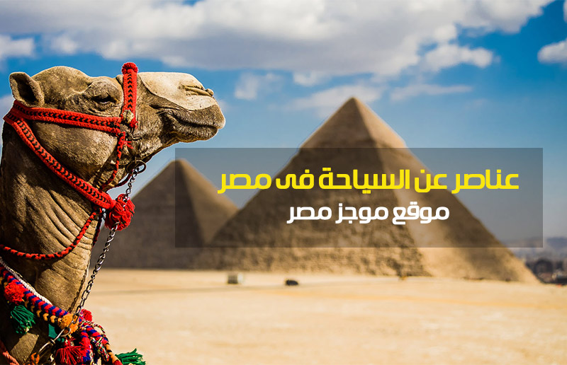 عناصر عن السياحة فى مصر